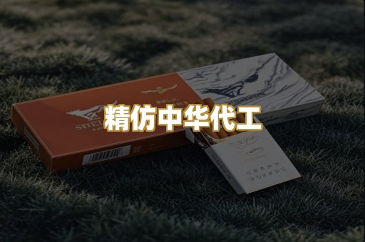 精仿中华代工